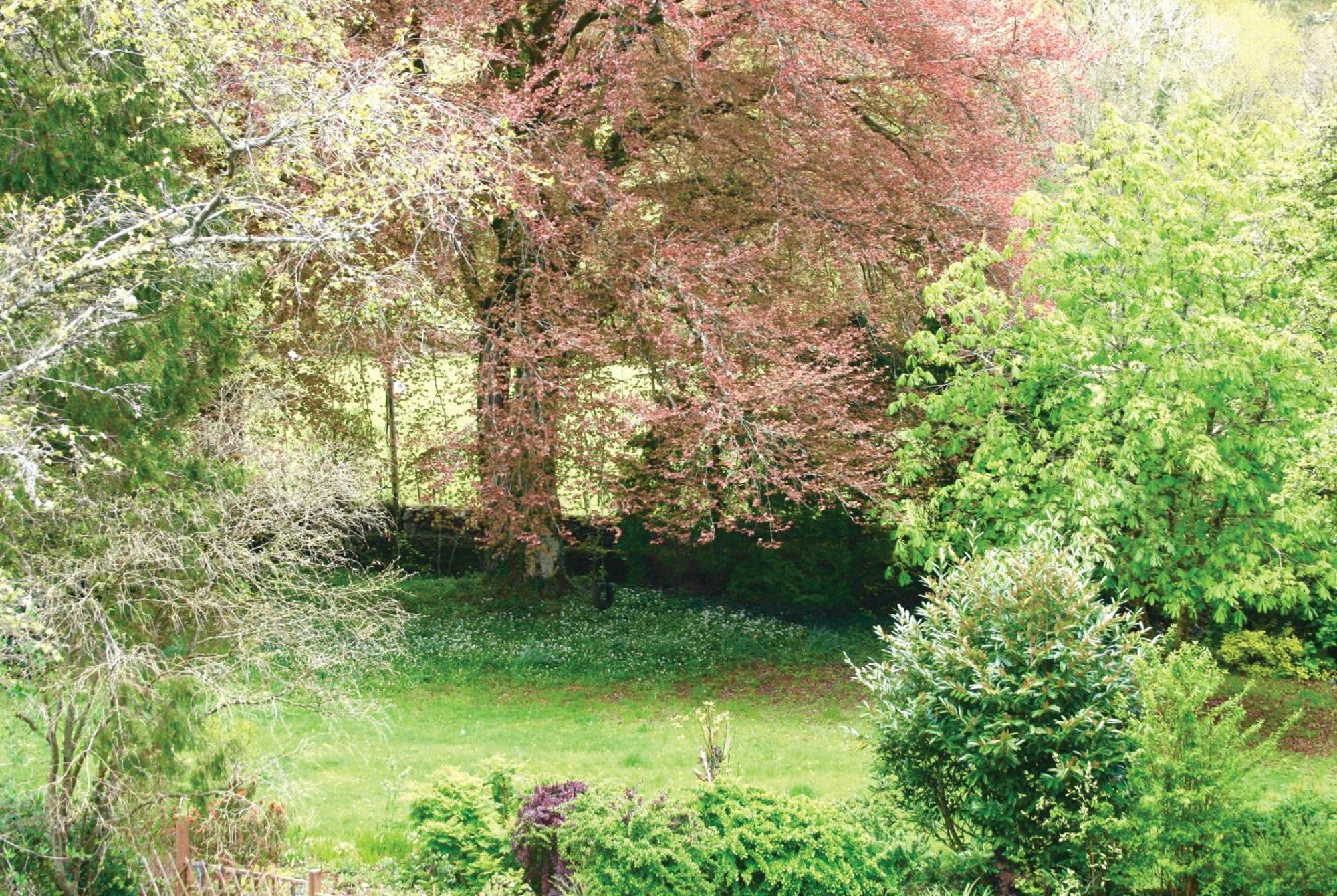 Afon Rhaiadr Country House ドルゲラウ エクステリア 写真