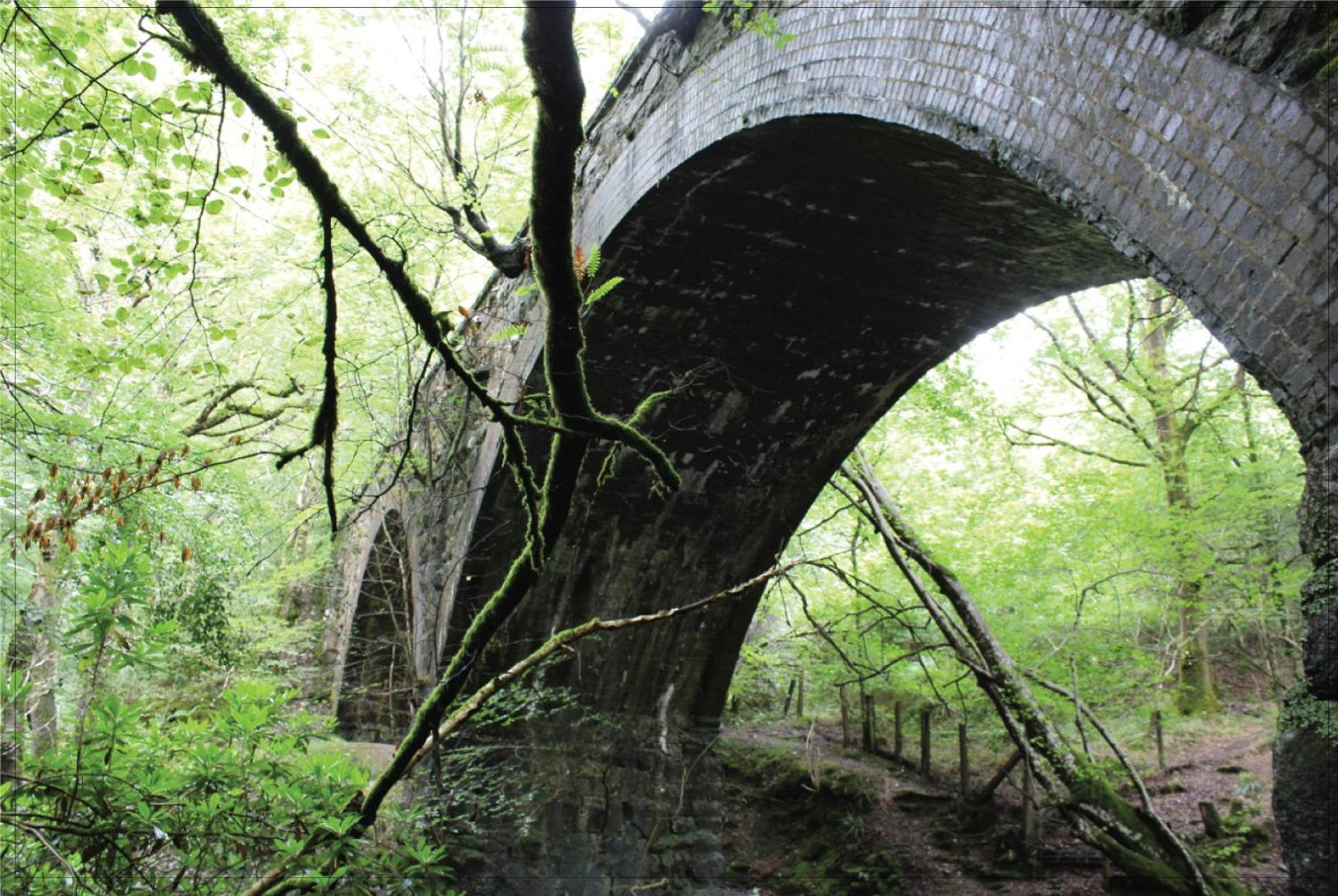Afon Rhaiadr Country House ドルゲラウ エクステリア 写真