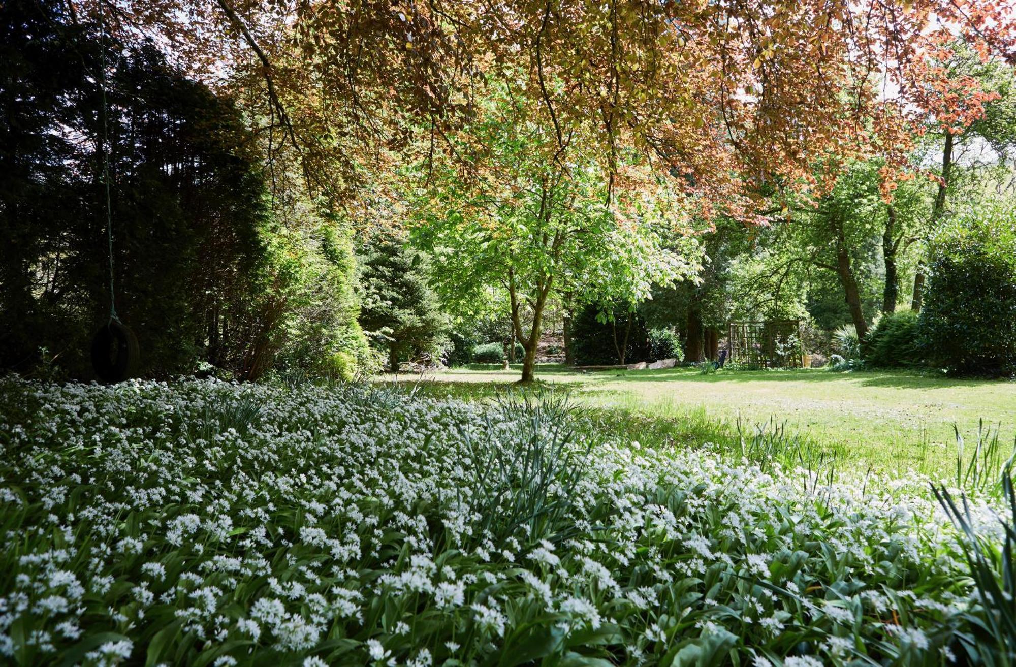 Afon Rhaiadr Country House ドルゲラウ エクステリア 写真